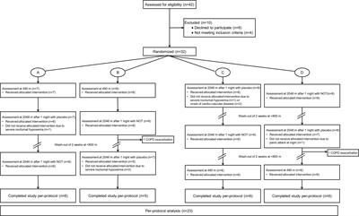 Effect of Nocturnal Oxygen Therapy on Daytime Pulmonary Hemodynamics in Patients With Chronic Obstructive Pulmonary Disease Traveling to Altitude: A Randomized Controlled Trial